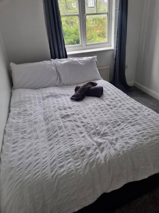 Maidstone Villa 3 Bedroom Free Sports Channels,Parking Sleeps 7 エクステリア 写真
