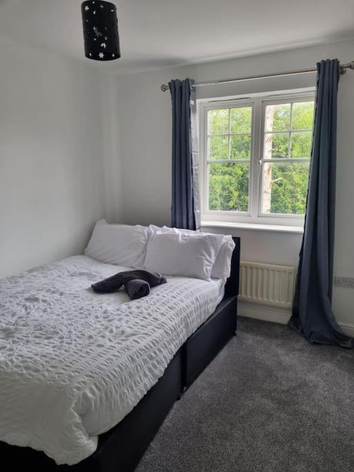 Maidstone Villa 3 Bedroom Free Sports Channels,Parking Sleeps 7 エクステリア 写真